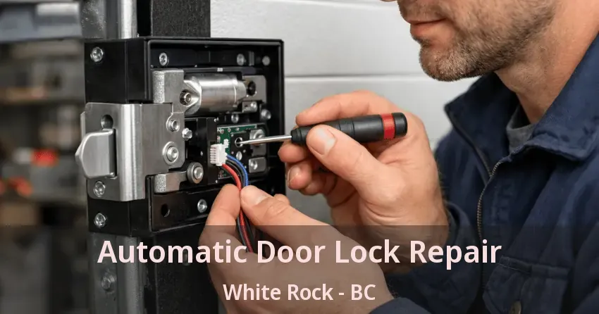 Automatic Door Lock Repair White Rock - BC