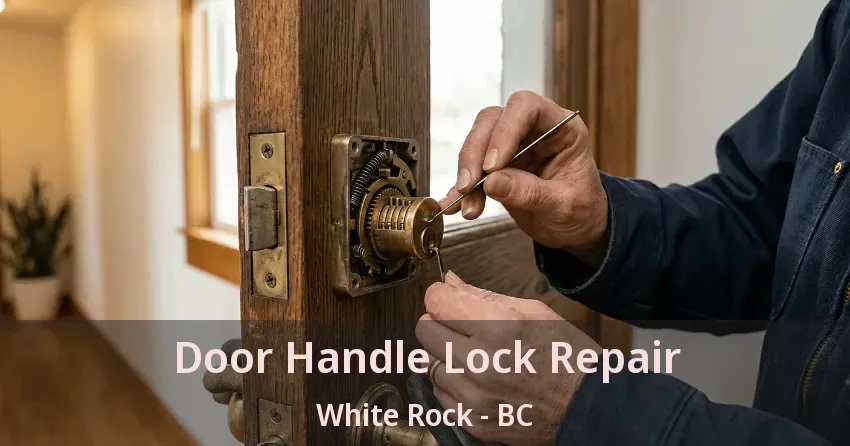Door Handle Lock Repair White Rock - BC