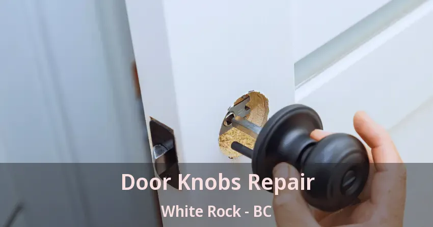 Door Knobs Repair White Rock - BC