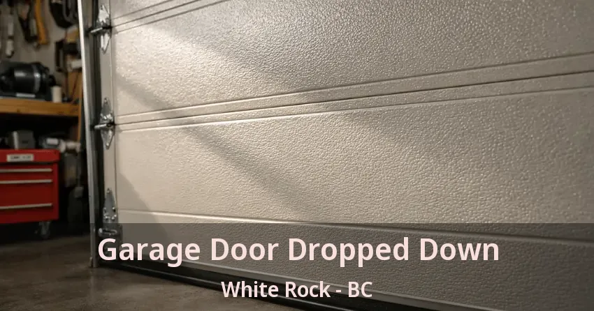 Garage Door Dropped Down White Rock - BC