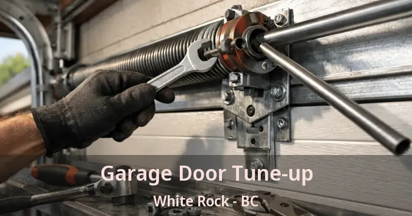 Garage Door Tune-up White Rock - BC