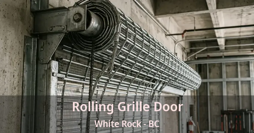 Rolling Grille Door White Rock - BC